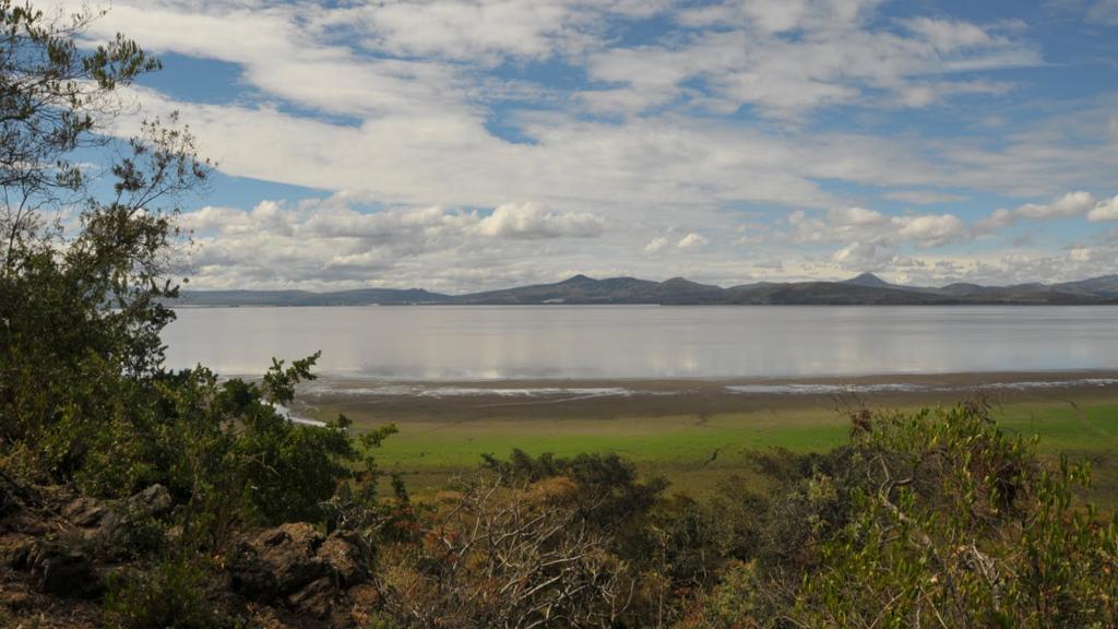 Day trip to Lake Naivasha and Hells Gate National Park - Image 4